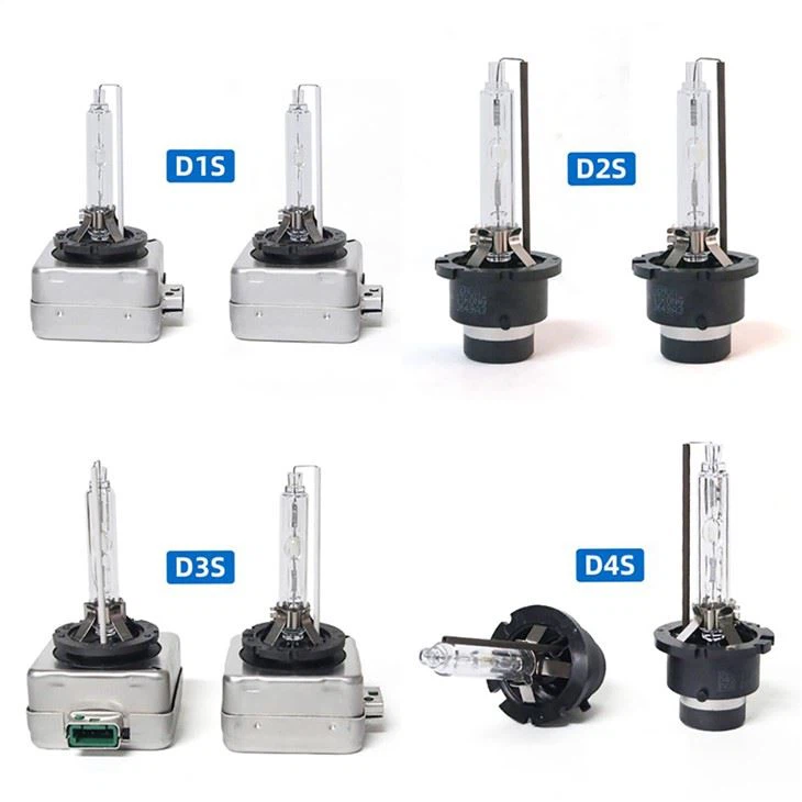 D1S